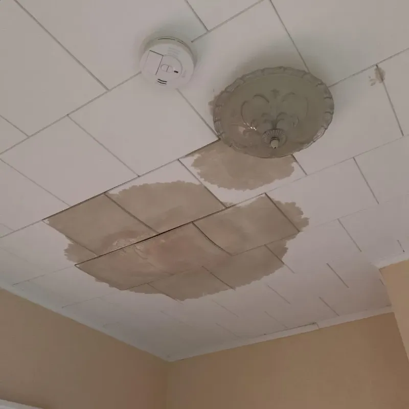 Ceiling Water Damage Repair in Martinsburg, PA
