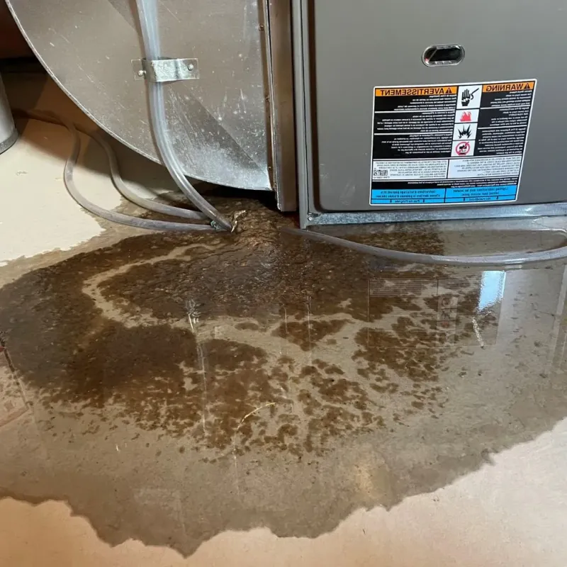 Pipe Burst and Leak Restoration in Martinsburg, PA
