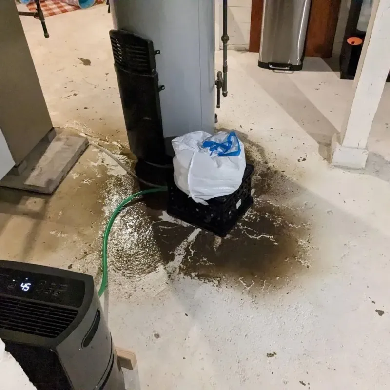 Sewage Backup Cleanup Service in Martinsburg, PA